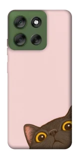 Чохол на Motorola Moto G56 5G Peeping cat фото 1 Чохол на Motorola Moto G56 5G Peeping cat фото 1 з 1