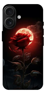 Чехол на Apple iPhone 17 (6.3") Красная роза фото 1 из 1