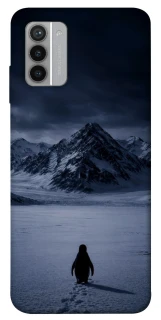 Чехол на Nokia G42 But why? фото 1 из 1