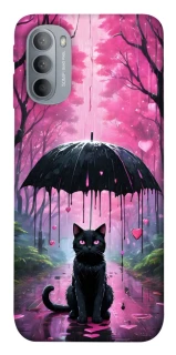 Чохол на Motorola Moto G31 Black cat фото 1 з 1