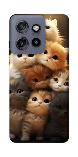 Чехол на Motorola Edge 50 Neo Чехол Kittie Love v2 фото 1 из 1