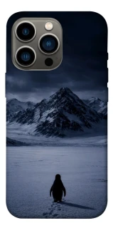 Чехол на Apple iPhone 13 Pro (6.1") But why? фото 1 из 1