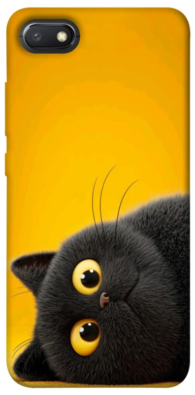 Чохол на Xiaomi Redmi 6A This is Cat фото 1 з 1