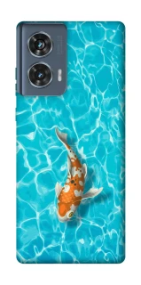 Чехол на Motorola Edge 50 Fish фото 1 из 1