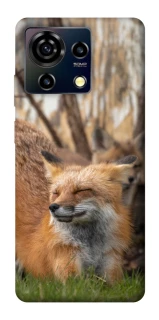 Чехол на ZTE Blade V50 Vita Лиса фото 1 из 1