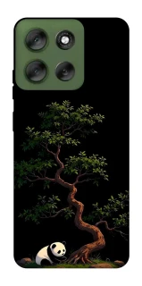 Чохол на Motorola Moto G56 5G Panda and tree фото 1 з 1