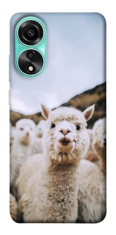 Чохол на Oppo A78 4G Лама фото 1 з 1