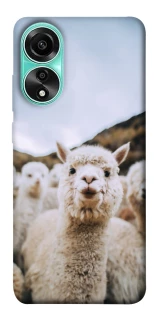 Чохол на Oppo A78 4G Лама фото 1 з 1
