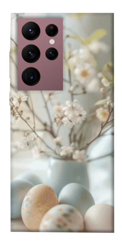 Чехол на Samsung Galaxy S22 Ultra SpringJoy фото 1 из 1