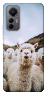 Чохол на Xiaomi 12 Lite Лама фото 1 з 1