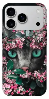 Чехол на Apple iPhone 18 Pro Max Кот в цветах фото 1 из 2