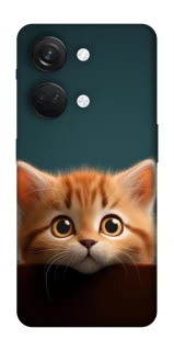 Чохол на OnePlus Nord 3 Чохол Кошеня фото 1 з 1