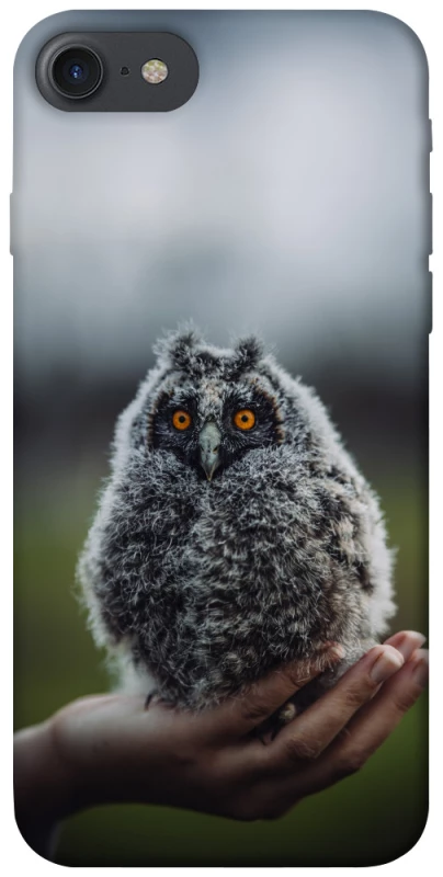 Чохол на Apple iPhone 7 / 8 (4.7") Совеня фото 1 з 1