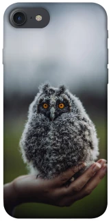 Чохол на Apple iPhone 7 / 8 (4.7") Совеня фото 1 з 1