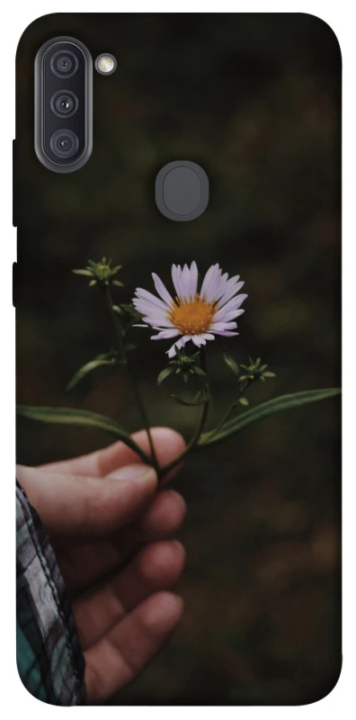 Чохол на Samsung Galaxy A11 Ромашка v4 фото 1 з 1