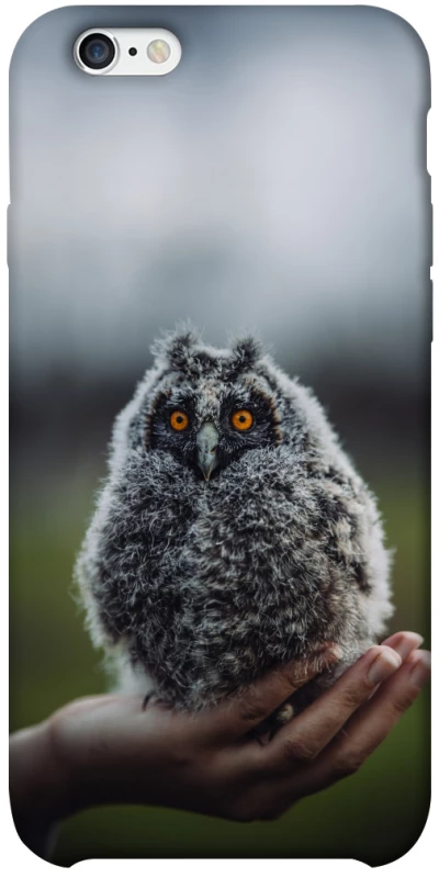 Чехол на Apple iPhone 6/6s plus (5.5") Совёнок фото 1 из 1