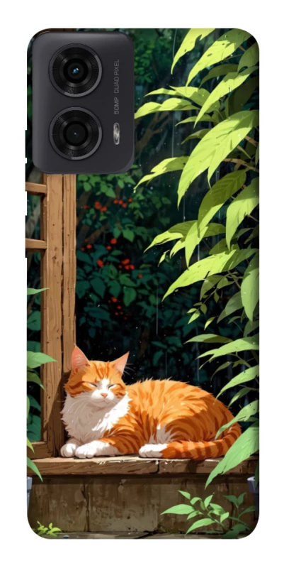 Чохол на Motorola Moto G24 red cat фото 1 з 1