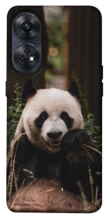 Чохол на Oppo Reno 8T 4G Панда фото 1 з 1