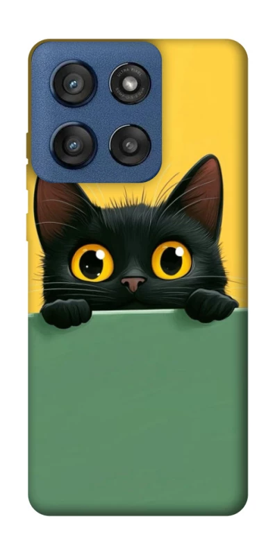 Чохол на Motorola Edge 60 Stylus Black cat v2 фото 1 з 1
