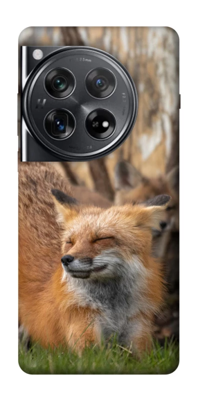 Чехол на OnePlus 12 Лиса фото 1 из 1