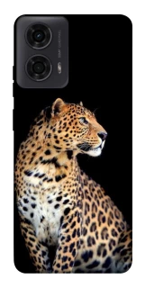 Чохол на Motorola Moto G04 Leopard v2 фото 1 з 1