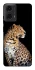 Чохол на Motorola Moto G24 Leopard v2 фото 1 з 1