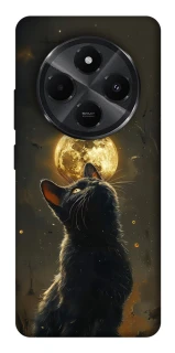 Чохол на Xiaomi Poco M7 Кіт під місяцем v2 фото 1 з 1