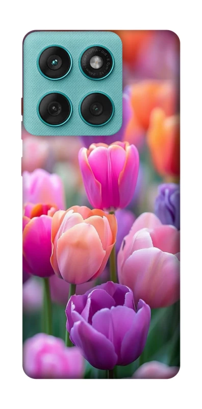 Чохол на Motorola Edge 60 Fusion Тюльпанове поле фото 1 з 1