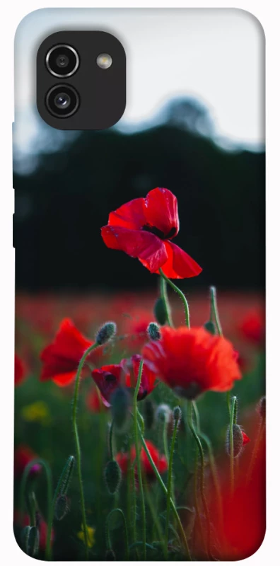 Чехол на Samsung Galaxy A03 Мак фото 1 из 1