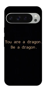 Чохол на Google Pixel 9 Pro XL House of the Dragon ver.9 фото 1 з 1
