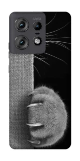 Чохол на Motorola Edge 50 Pro Spy Cat фото 1 з 1