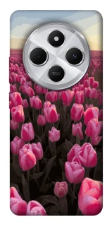 Чехол на Xiaomi Redmi 14C / Poco C75 Spring Awakening фото 1 из 1