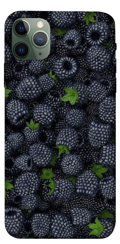 Чехол на Apple iPhone 11 Pro Max (6.5") Fresh фото 1 из 1