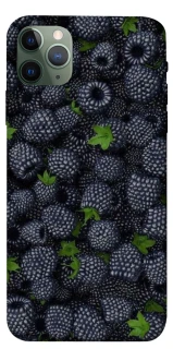 Чохол на Apple iPhone 11 Pro Max (6.5") Fresh фото 1 з 1