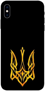 Чохол на Apple iPhone X (5.8") Герб України v3 фото 1 з 1