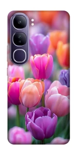 Чохол на Vivo Y300 Тюльпанове поле фото 1 з 1