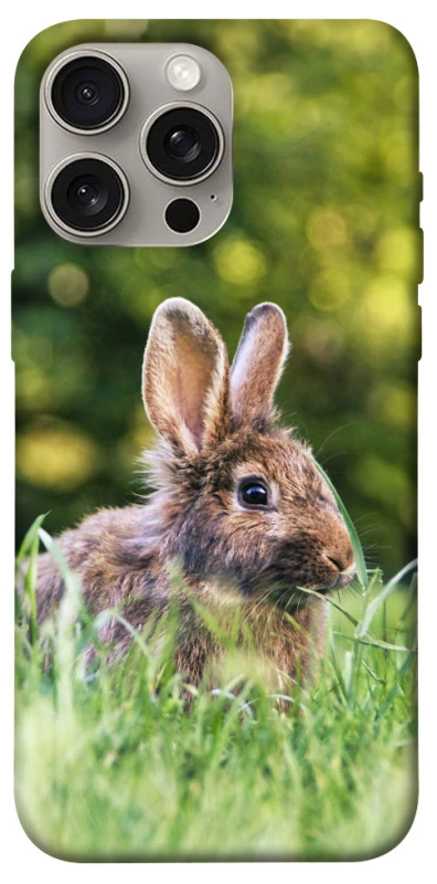 Чехол на Apple iPhone 15 Pro Max (6.7") Кролики фото 1 из 1