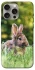 Чехол на Apple iPhone 15 Pro Max (6.7") Кролики фото 1 из 1