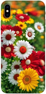 Чохол на Apple iPhone XS Max (6.5") Flowers v11 фото 1 з 1