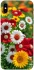 Чехол на Apple iPhone XS Max (6.5") Flowers v11 фото 1 из 1