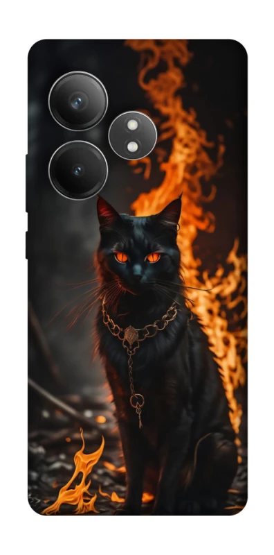 Чохол на Realme GT Neo 6 SE Вогняний кіт фото 1 з 1