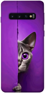 Чехол на Samsung Galaxy S10 Кот-подглядыватель фото 1 из 1