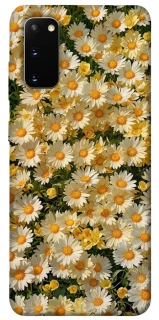 Чохол на Samsung Galaxy S20 Camomile фото 1 з 1