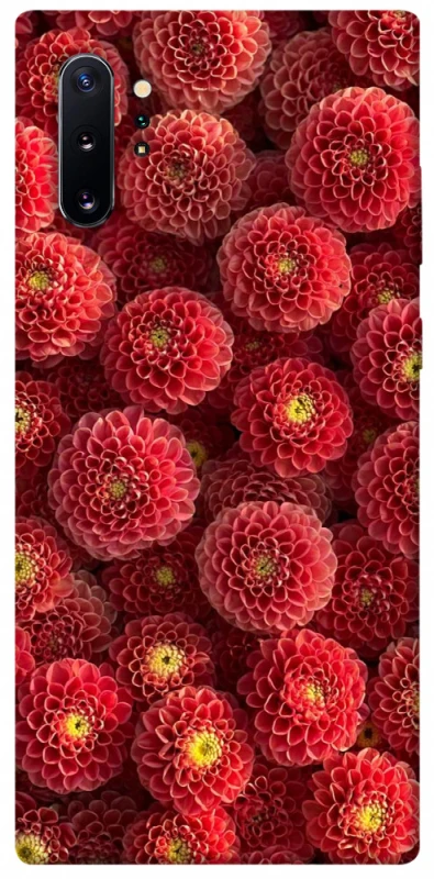 Чохол на Samsung Galaxy Note 10 Plus Midnight1 фото 1 з 1