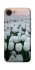 Чехол на Apple iPhone 16e (6.1") Flowers v1 фото 1 из 1