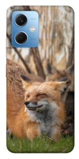 Чохол на Xiaomi Poco X5 5G Лисиця фото 1 з 1