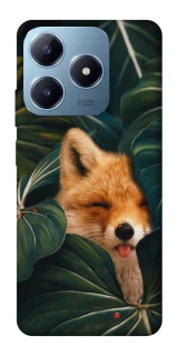 Чехол на Realme C63 Fox фото 1 из 1