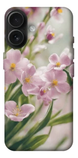 Чехол на Apple iPhone 17 (6.3") Spring фото 1 из 1