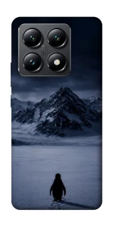 Чехол на Xiaomi 14T But why? фото 1 из 1