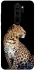 Чохол на Xiaomi Redmi Note 8 Pro Leopard v2 фото 1 з 1
